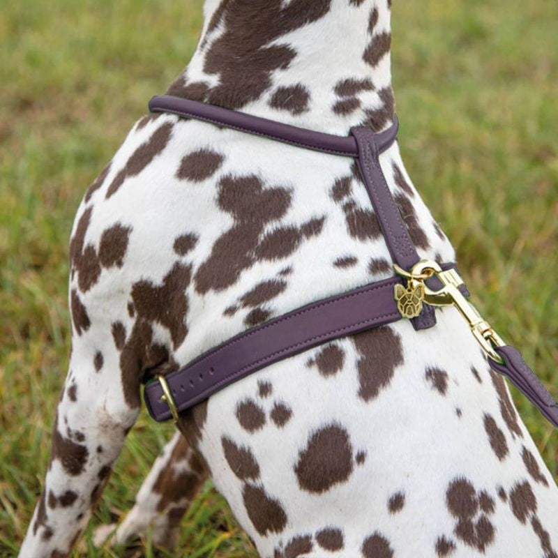 Shires Digby Rolled Leather Harness