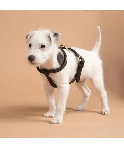 Shires Digby Rolled Leather Harness