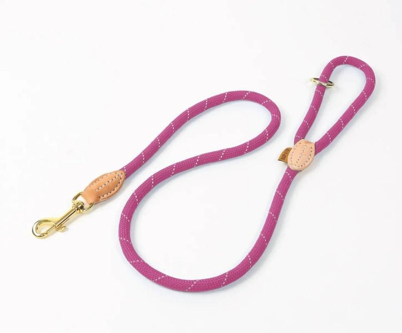 Shires Digby Fox Reflective Dog Lead