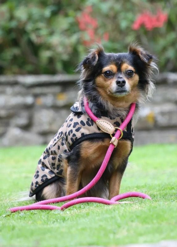 Shires Digby Reflective Slip Dog Lead