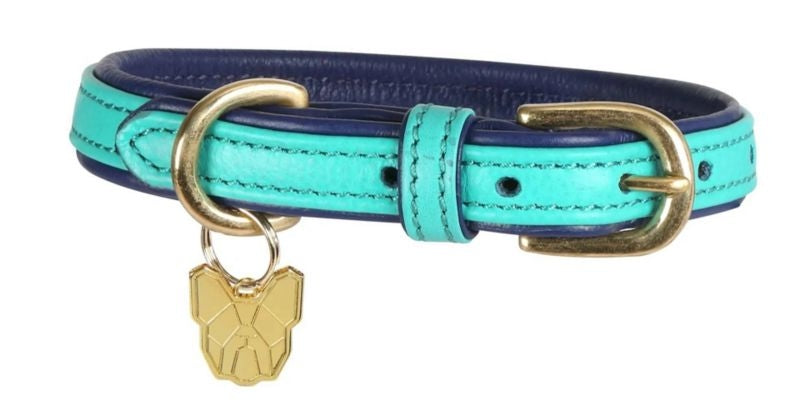 Shires Digby Padded Dog Collar