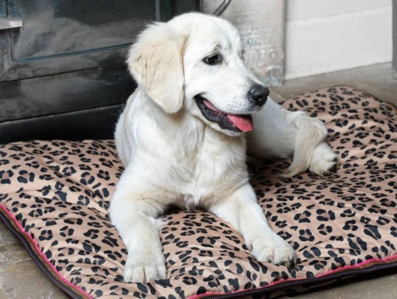 Shires Digby Waterproof Dog Bed