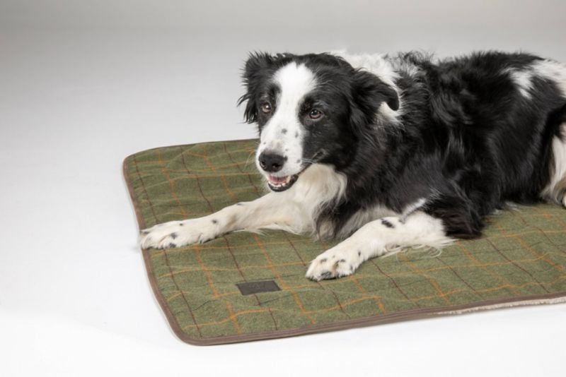 Shires Digby Fox Tweed Blanket