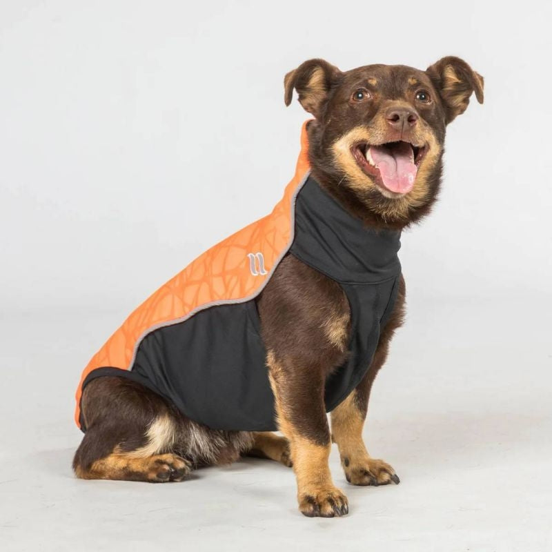 Back on Track Eddie High Visibility Dog Jumper
