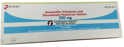 Clavacillin Tablet