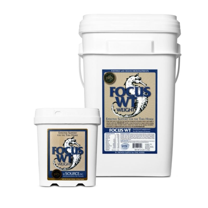 SOURCE Focus WT Weight Gain Supplement