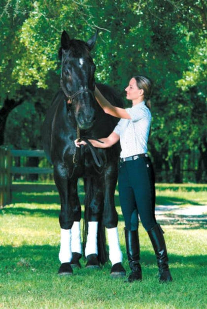 Devon-Aire Ladies All-Pro Ribbed Breech