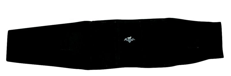 Professionals Choice Back Support