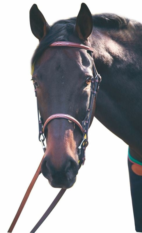 Henri De Rivel Advantage Bridle