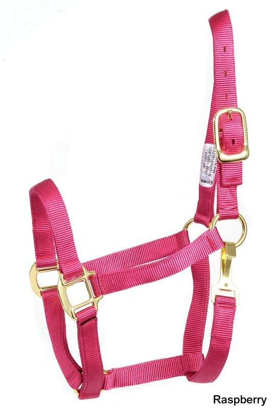 Deluxe 3-Ply Nylon Halter with Snap