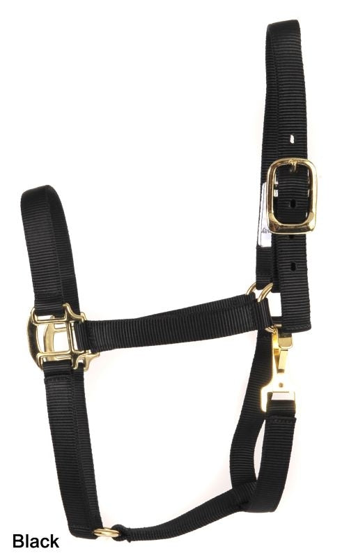 Deluxe 3-Ply Nylon Halter with Snap