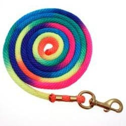 Basic Rainbow Poly Lead Rope with Bolt Snap