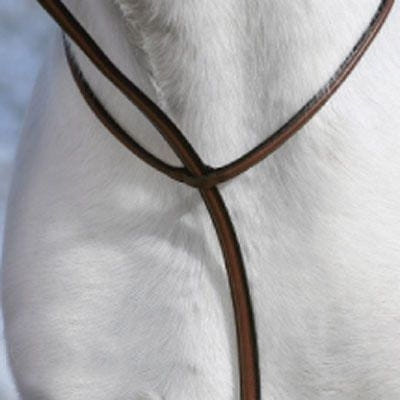 Plain Raised Standing Martingale
