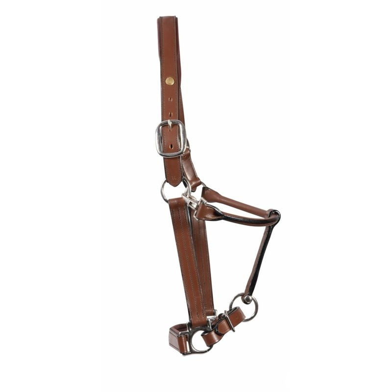 HDR Pro Fancy Padded Rolled Throat Halter