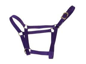 Basic 2-Ply Halter