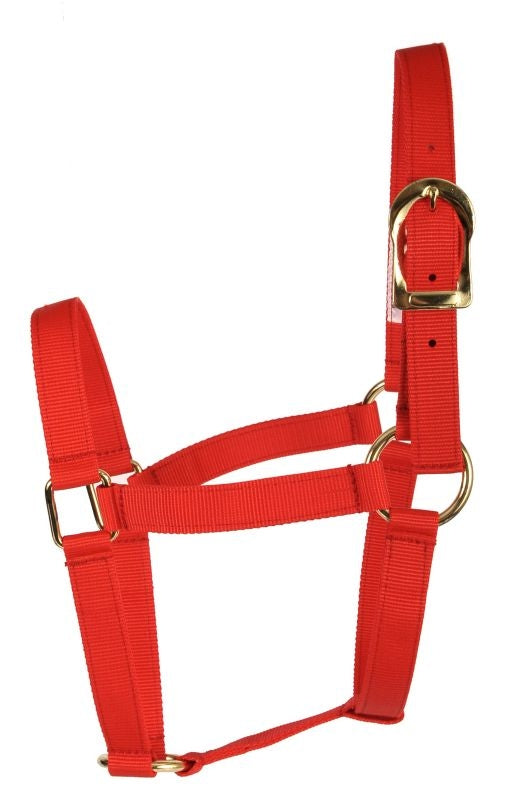 Basic 2-Ply Halter
