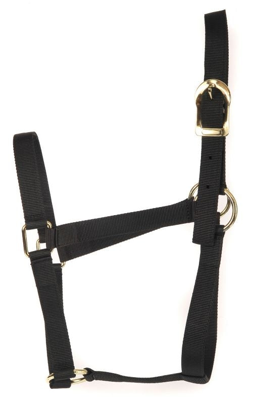 Basic 2-Ply Halter