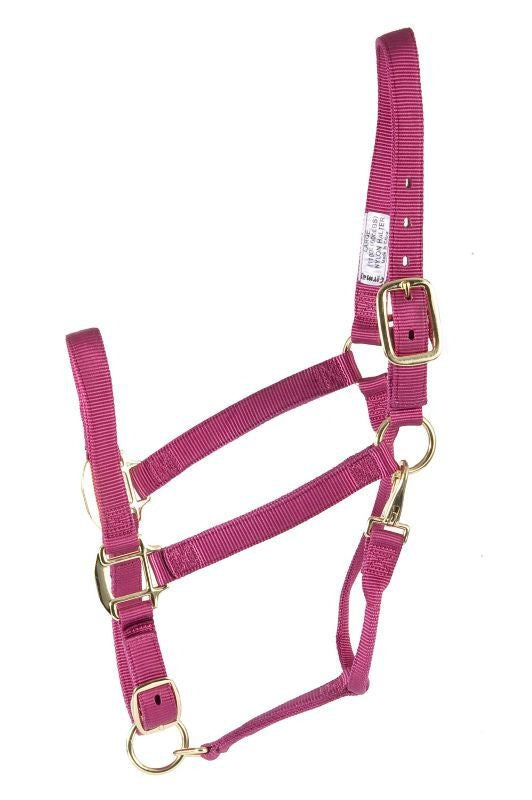 Deluxe 3-Ply Adjustable Nylon Halter with Snap