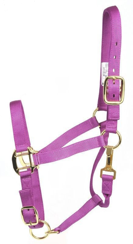 Deluxe 3-Ply Adjustable Nylon Halter with Snap
