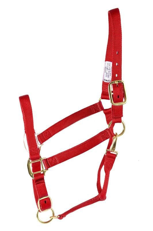 Deluxe 3-Ply Adjustable Nylon Halter with Snap