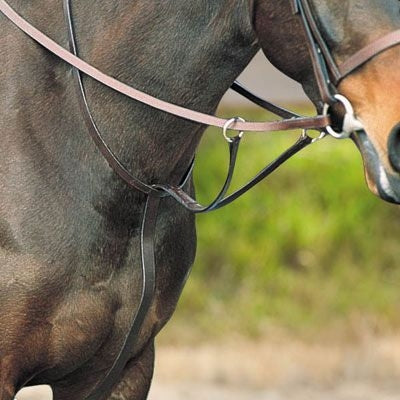 Kincade Flat RunningMartingale Brown