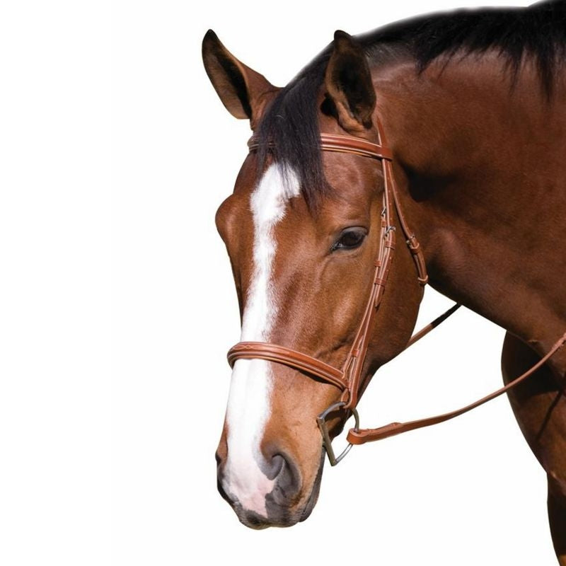 HDR Advantage Fancy Raised Bridle