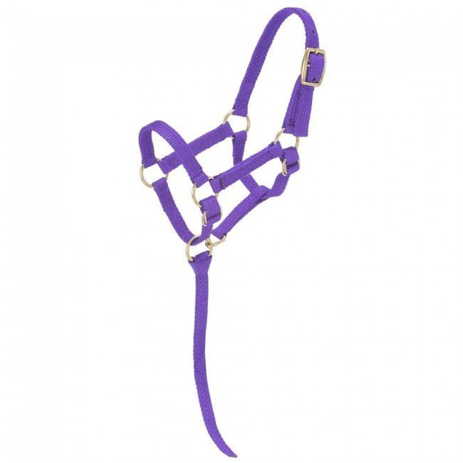Tough1 Miniature Nylon Halter