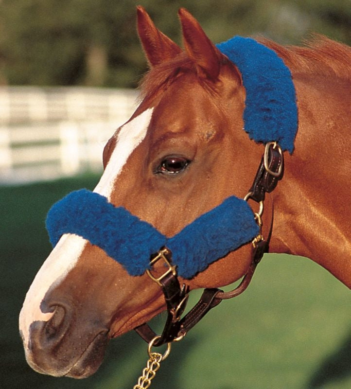 Basic Fleece 4-Piece Halter Tube Set