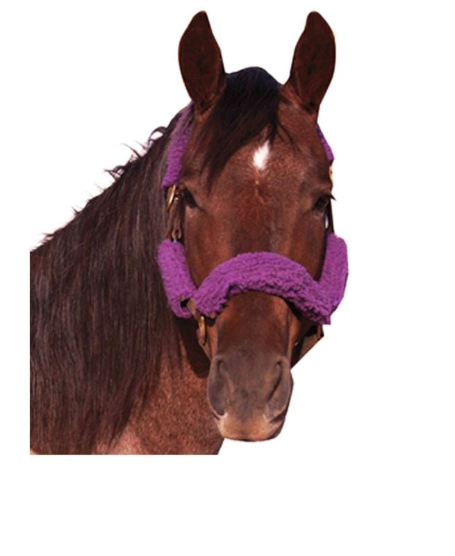 Basic Fleece 4-Piece Halter Tube Set