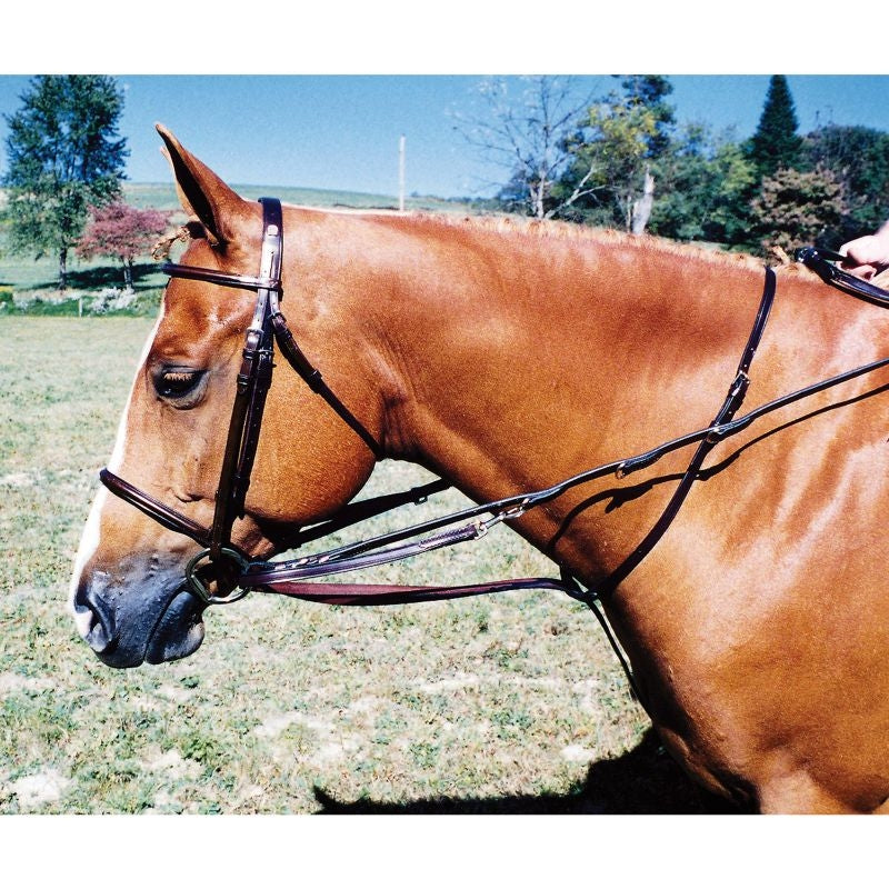 Tory German Martingale/Reins Center Buckle Blk
