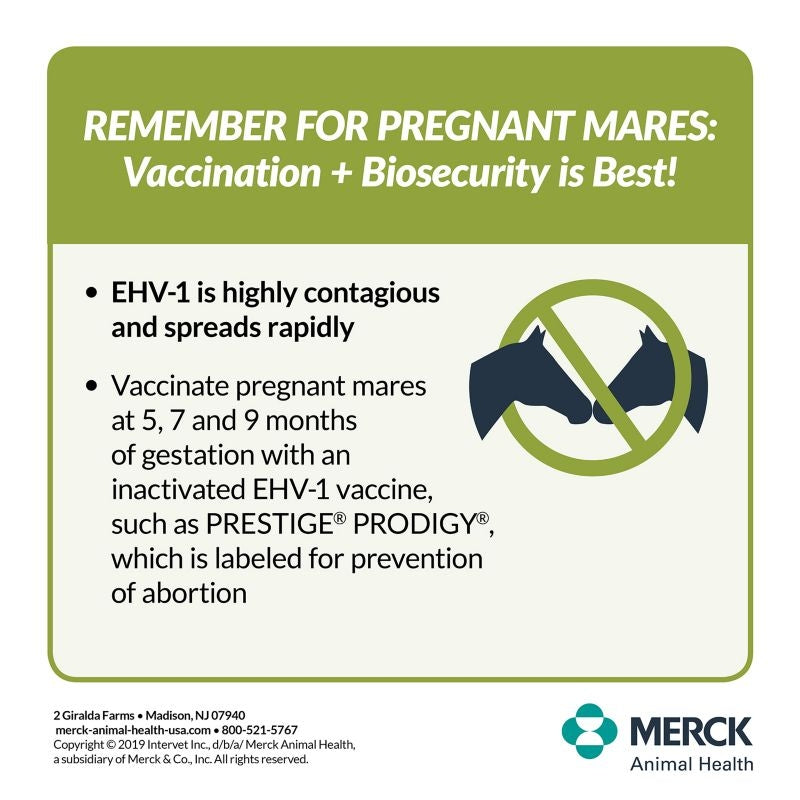 Merck Prestige Prodigy Vaccine Multi Pack 11 Dose
