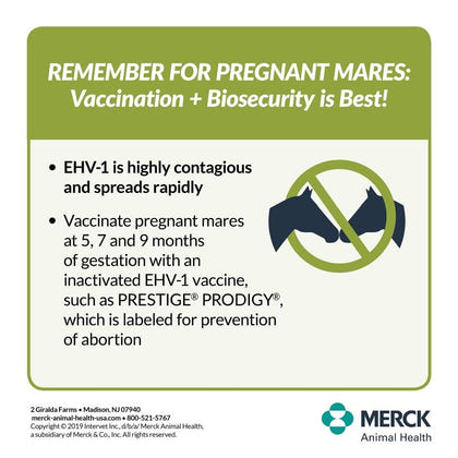 Merck Prestige Prodigy Vaccine Multi Pack 11 Dose