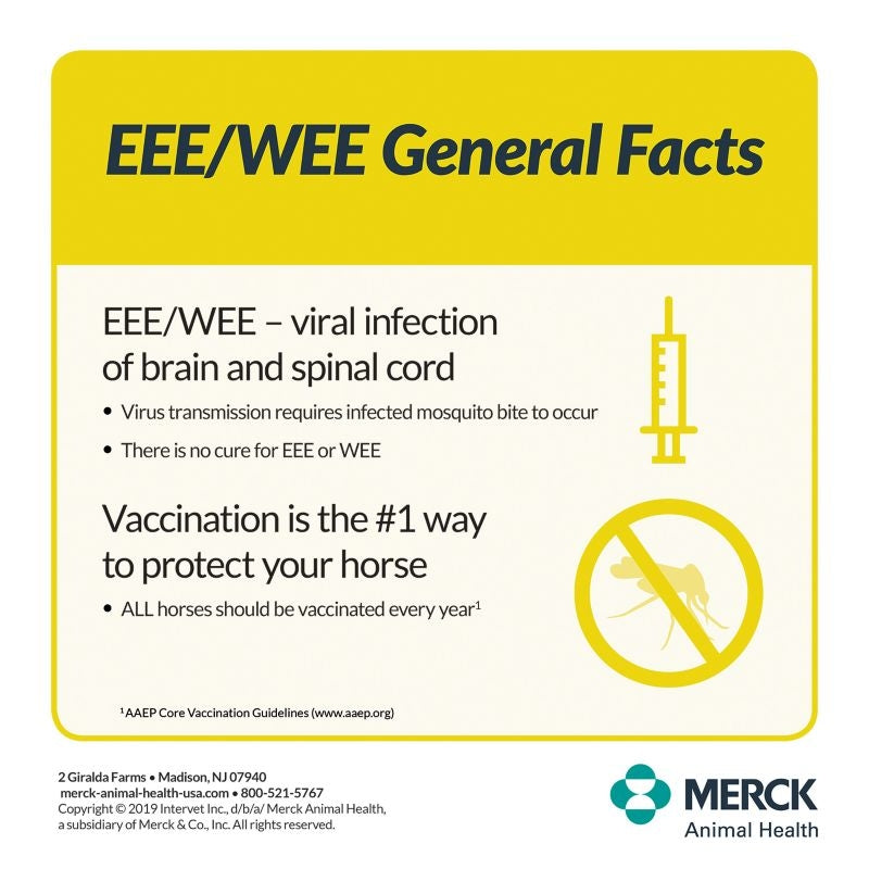 Merck Prestige 3 Vaccine Single Dose
