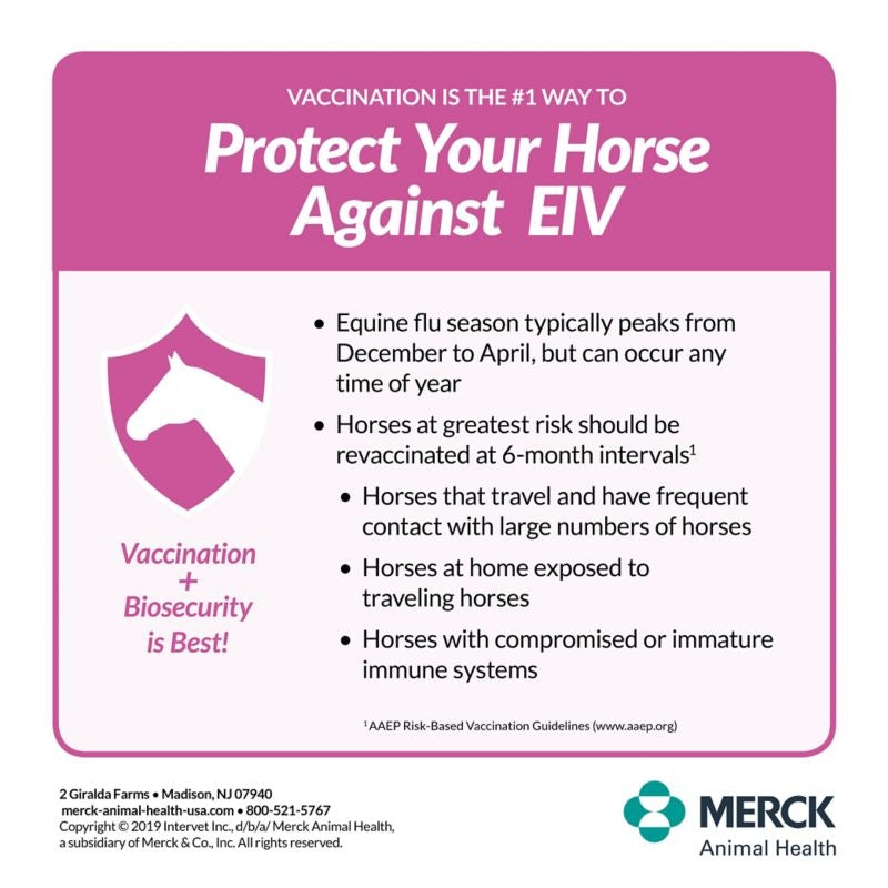 Merck Prestige 5 Plus WNV Vaccine Single Dose