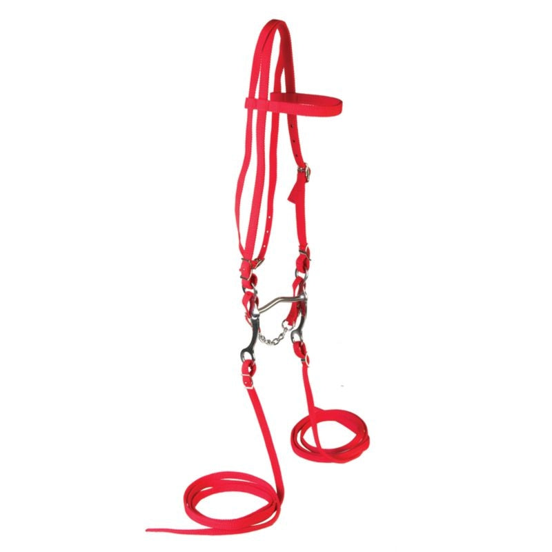 Western Poly Browband Headstall Set with Reins