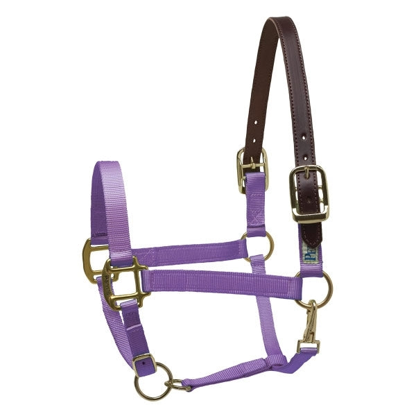 Perris Ribbon Safety Halter Cob Navy/Ikat