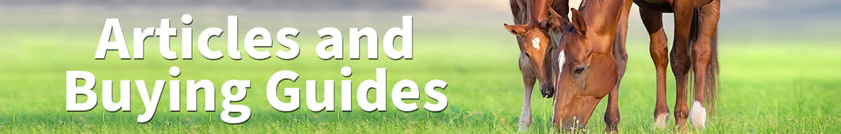 Articles and Buying Guides