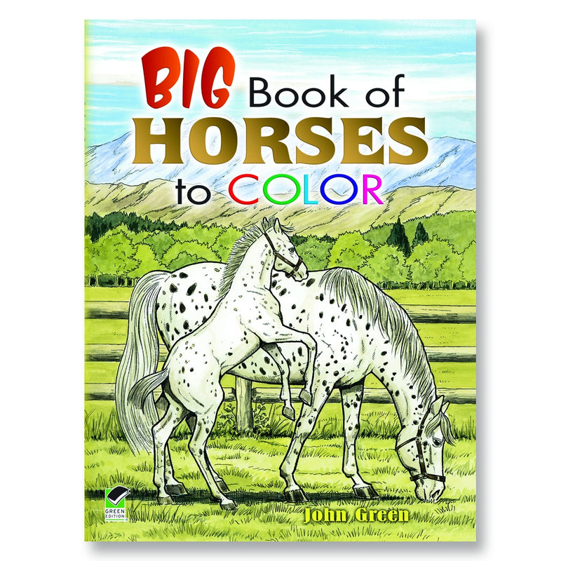 Big Book of Horses to Color