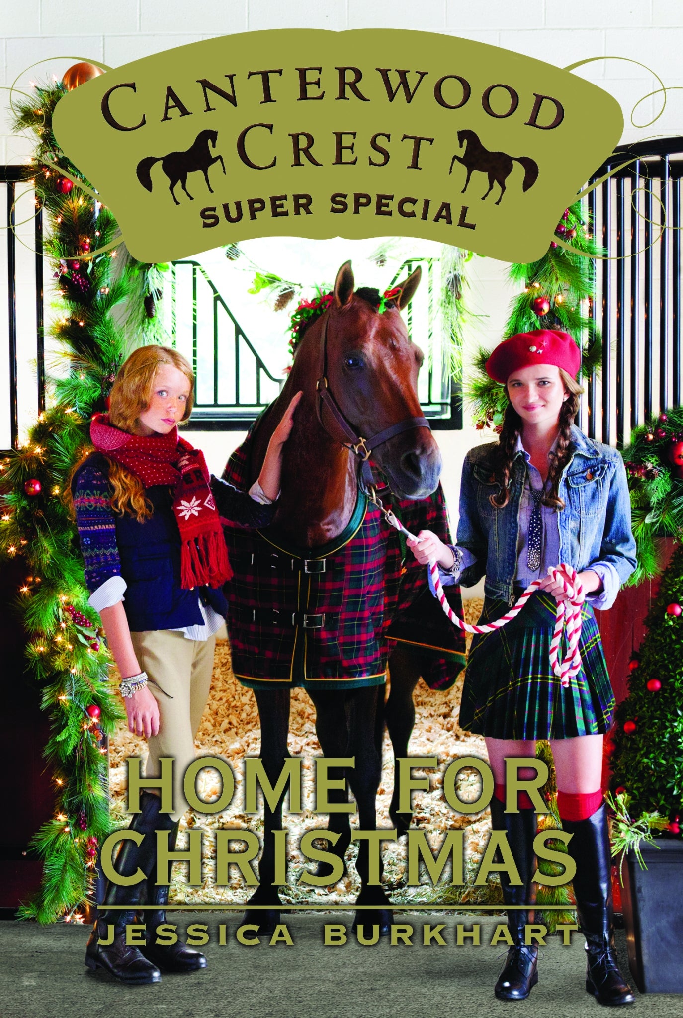 Home for Christmas, Super Special, Canterwood Crest Series