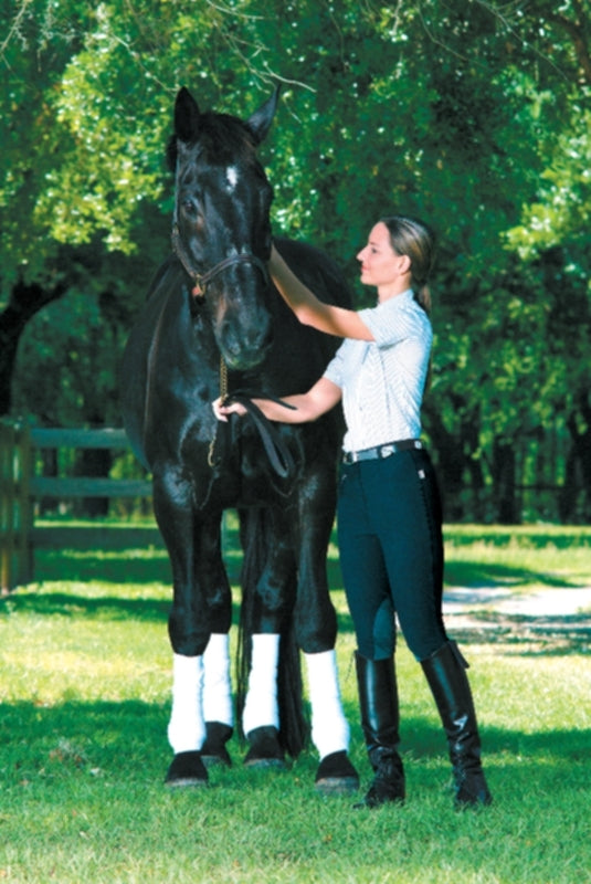 OPEN BOX Devon-Aire Ladies All-Pro Dev-Tek Ribbed Breeches - 24 Regular, Black