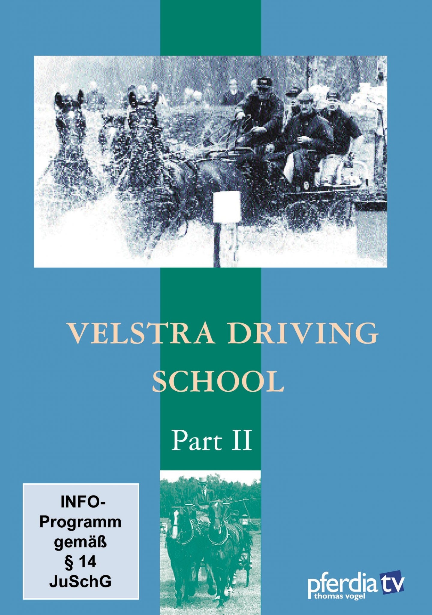 Velstra Driving Training Part 2 DVD-Tjeerd Velstra